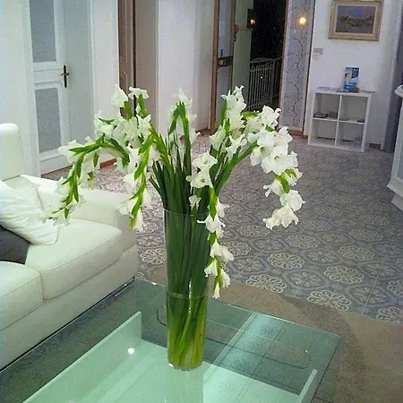 Hotel Hotel Moreri 3*